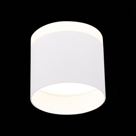 ST102.542.12 Светильник потолочный Белый LED 1*12W 4000K 936Lm Ra&gt;80 120° IP20 D100xH90 170-240V