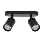 Спот Arte Lamp AQUARIUS A3226PL-2BK, 2хGU10