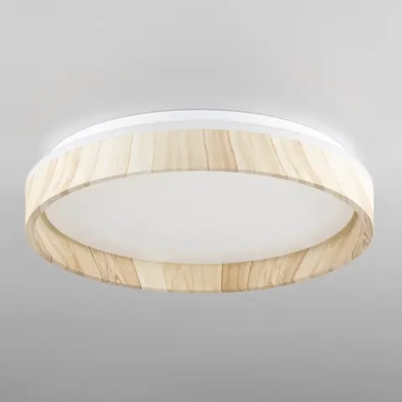 Citilux ENZO CL753352G LED RGB Светильник с пультом Клён
