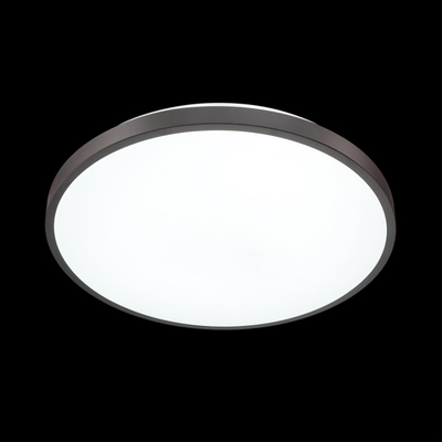 3012/DL TAN SN 000 Светильник пластик/черный LED 48Вт 3000-6300K D380 IP43 пульт ДУ/ LampSmart SMALLI