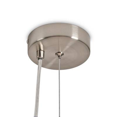 Подвесной светильник Bride FR5367PL-01N, E14х1. TM Maytoni