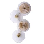 Декоративная подсветка Arte Lamp AJOUR A1258AP-4PB, 4хLED