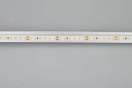 Лента RT 2-5000 24V Warm3000 2x (2835, 600 LED, CRI98) (Arlight, 14.4 Вт/м, IP20)