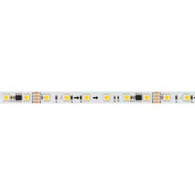Светодиодная лента SPI-B60-10mm 24V Day4000-PX6-RAM (15 W/m, IP20, 5060, 5m) (Arlight, бегущий огонь)