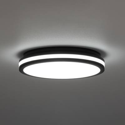 Citilux LUNS CL711021V LED Светильник влагозащищённый Чёрный