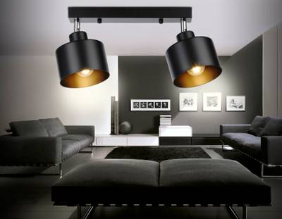 Настенно-потолочный спот в стиле лофт TR8142/2 BK черный E27*2 max 40W 340*120*180