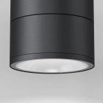 Уличный потолочный светильник Спин / Spin 3000К 12Вт IP54, O310CL-L12GF3K. TM Maytoni