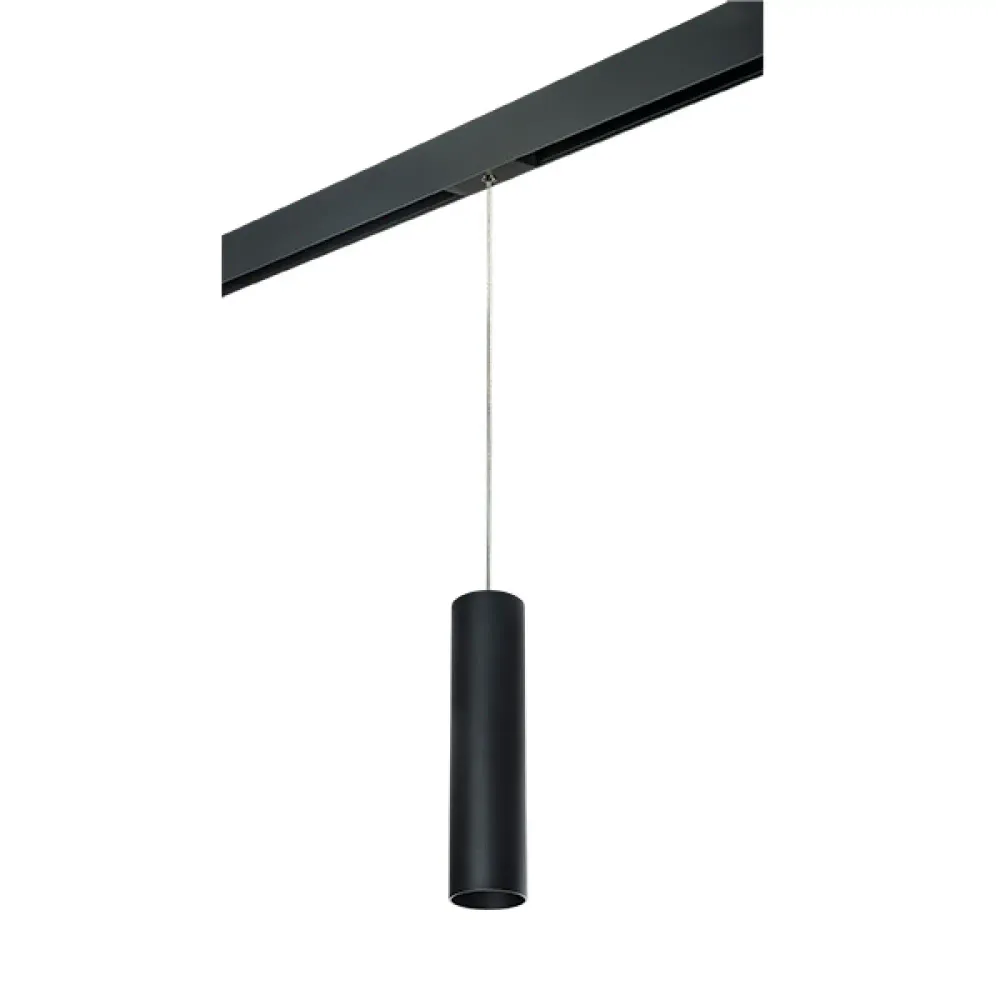 PRORP497 Светильник д/1-фазн трека RULLO HP16 (214497+595857) Lightstar