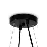 Подвесной светильник Globos FR5222PL-08B, G9х8. TM Maytoni
