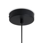 Подвесной светильник Mixture FR5483PL-01B3, E27х1. TM Maytoni