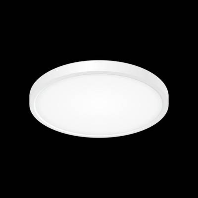 Citilux Бейсик CL738240V Светильник накладной Белый