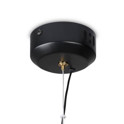 Подвесной светильник Enchantment FR5384PL-L5BL, LED. TM Maytoni