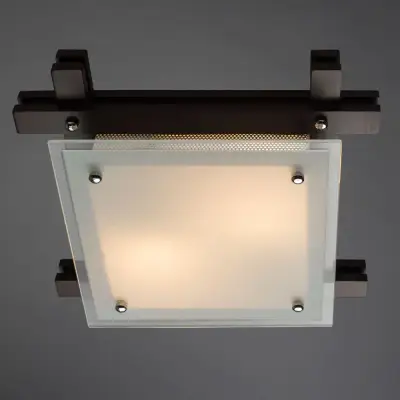 Потолочный светильник Arte Lamp ARCHIMEDE A6462PL-2CK, 2хE27