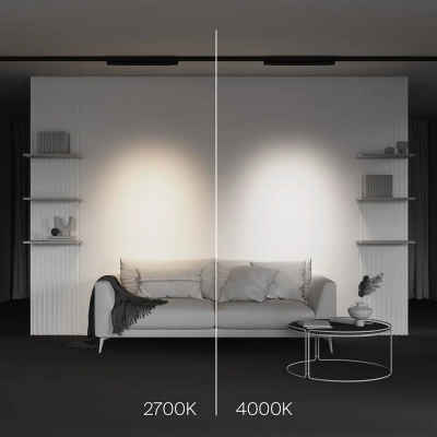 Трековый светильник Точки / Points Trinity 2700K 20Вт 30°, TR195-3-20W2.7K-M-B. TM Maytoni