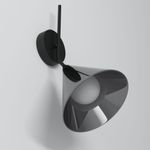 Настенный светильник со стеклянным плафоном 70161/1 черный