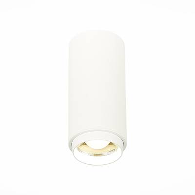ST600.542.10 Светильник потолочный Zoom Белый LED 1*10W 4000K 1 000Lm Ra&gt;80 15-60° IP20 D59xH130 170-240VV