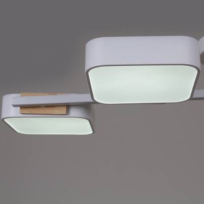 03361-0.3-04 WH+WOOD светильник потолочный