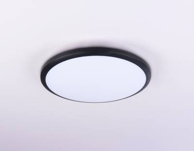 Потолочный светодиодный светильник FZ1233 BK черный IP44 22W 6400К D260*55 (Без ПДУ)