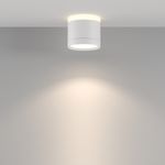 Потолочный светильник Pauline GX53 12Вт C120CL-GX53-W. TM Maytoni