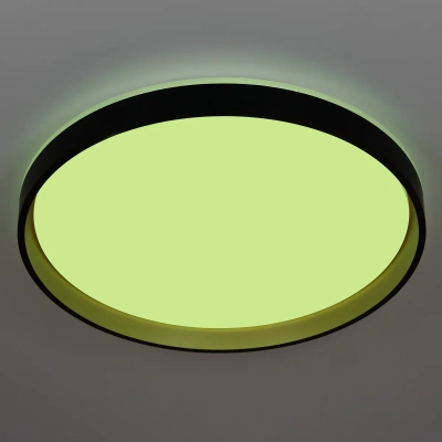 Citilux ENZO CL753511G LED RGB Светильник с пультом Черный + Золото
