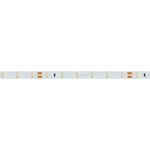 Светодиодная лента RT 2-5000 24V White6000 (3528, 300 LED, LUX) (Arlight, 4.8 Вт/м, IP20)