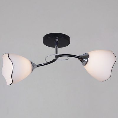 79360-0.3-02 BK+CR светильник потолочный