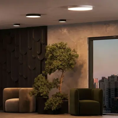 Потолочный светильник Arte Lamp FADO A7320PL-1BK, 1хLED