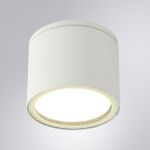 Уличный потолочный светильник Arte Lamp PIAUTOS A1913PF-1WH, 1хGX53