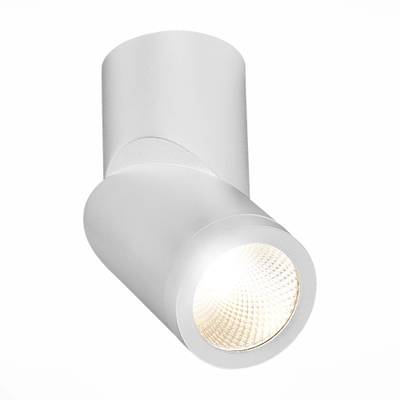 ST650.542.10 Светильник потолочный Белый LED 1*10W 4000K 800Lm Ra&gt;90 38° IP44 D60xH175 165-265V