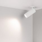 Светильник LGD-ARTEMIS-BUILT-FLAP-R55-12W Day4000 (WH, 8-80 deg, 230V) (Arlight, IP20 Металл, 5 лет)