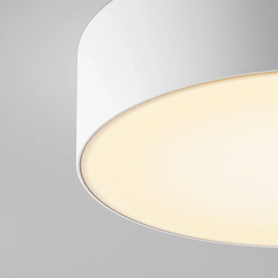Уличный потолочный светильник Зон / Zon IP 3000K 30Вт IP65, O431CL-L30W3K. TM Maytoni