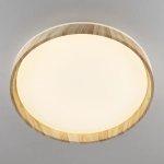 Citilux ENZO CL753452G LED RGB Светильник с пультом Клён