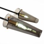SL1209.302.06 Светильник потолочный ST-Luce Бронза,Черный/Дымчатый E14 6*40W