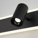 Настенный светодиодный светильник с USB и Type-C 20127/1 LED черный