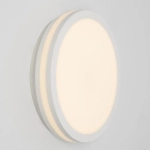 Citilux LUNS CL711010V LED Светильник влагозащищённый Белый