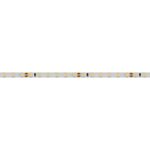 Светодиодная лента RT 2-5000 24V Cool 8K 5mm 2x (3528, 600 LED, LUX) (Arlight, 9.6 Вт/м, IP20)
