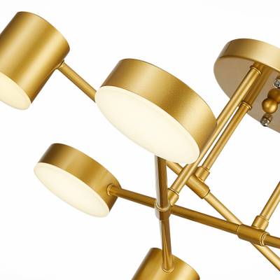SLE201022-06 Светильник потолочный Золотистый/Золотистый LED 6*7W 4000K