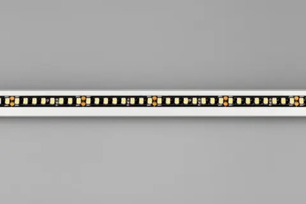 Лента RT-5000-2835-160-24V Day4000 (Black 8mm, 12W/m, IP20) (Arlight, -)