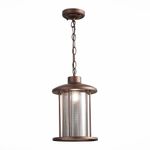 SL080.403.01 Светильник уличный подвесной ST-Luce Темный кофе/Прозрачный, Темный кофе E27 1*60W
