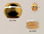 Комплект накладного светильника XS1105020 PYG/CF золото желтое полированное/кофе MR16 GU5.3 LED 3W 4200K (C1105, N7195)
