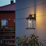 SL080.401.01 Светильник уличный настенный ST-Luce Темный кофе/Прозрачный, Темный кофе E27 1*60W