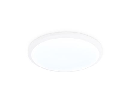 Потолочный светодиодный светильник FZ1230 WH белый IP44 22W 6400К D260*55 (Без ПДУ)