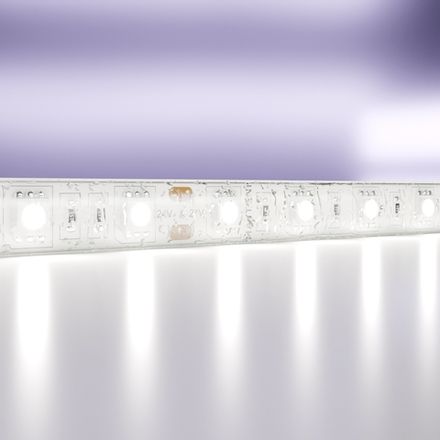 Светодиодная лента 24В 5050 14,4Вт/м 6000K 5м IP65, 10173. TM Maytoni