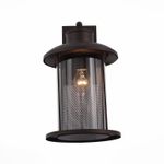 SL080.401.01 Светильник уличный настенный ST-Luce Темный кофе/Прозрачный, Темный кофе E27 1*60W