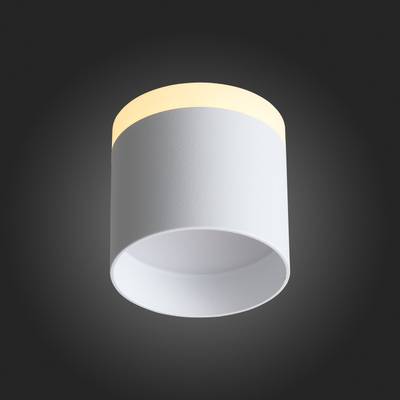 ST102.502.09 Светильник потолочный Белый LED 1*9W 3000K 702Lm Ra&gt;80 120° IP20 D79xH75 170-240V