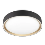 Citilux BOSS CL751251G LED RGB Светильник с пультом Чёрный с Золотом