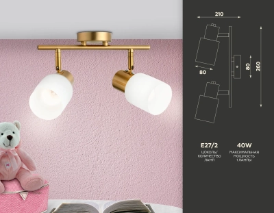 Настенно-потолочный спот TR3969/2 BS/FR латунь/белый матовый E27*2 max 40W 260*80*210