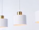 Подвесной светильник в стиле лофт TR8117/3 WH/BS белый/латунь E27*3 max 40W 580*120*970