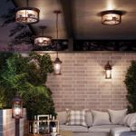 4961/2 NATURE ODL22 733 темно-коричневый/стекло Ландшафтный подвес E27 2*60W IP44 MAVRET