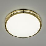 Citilux Бостон CL709503N LED Люстра с диммером Бронза